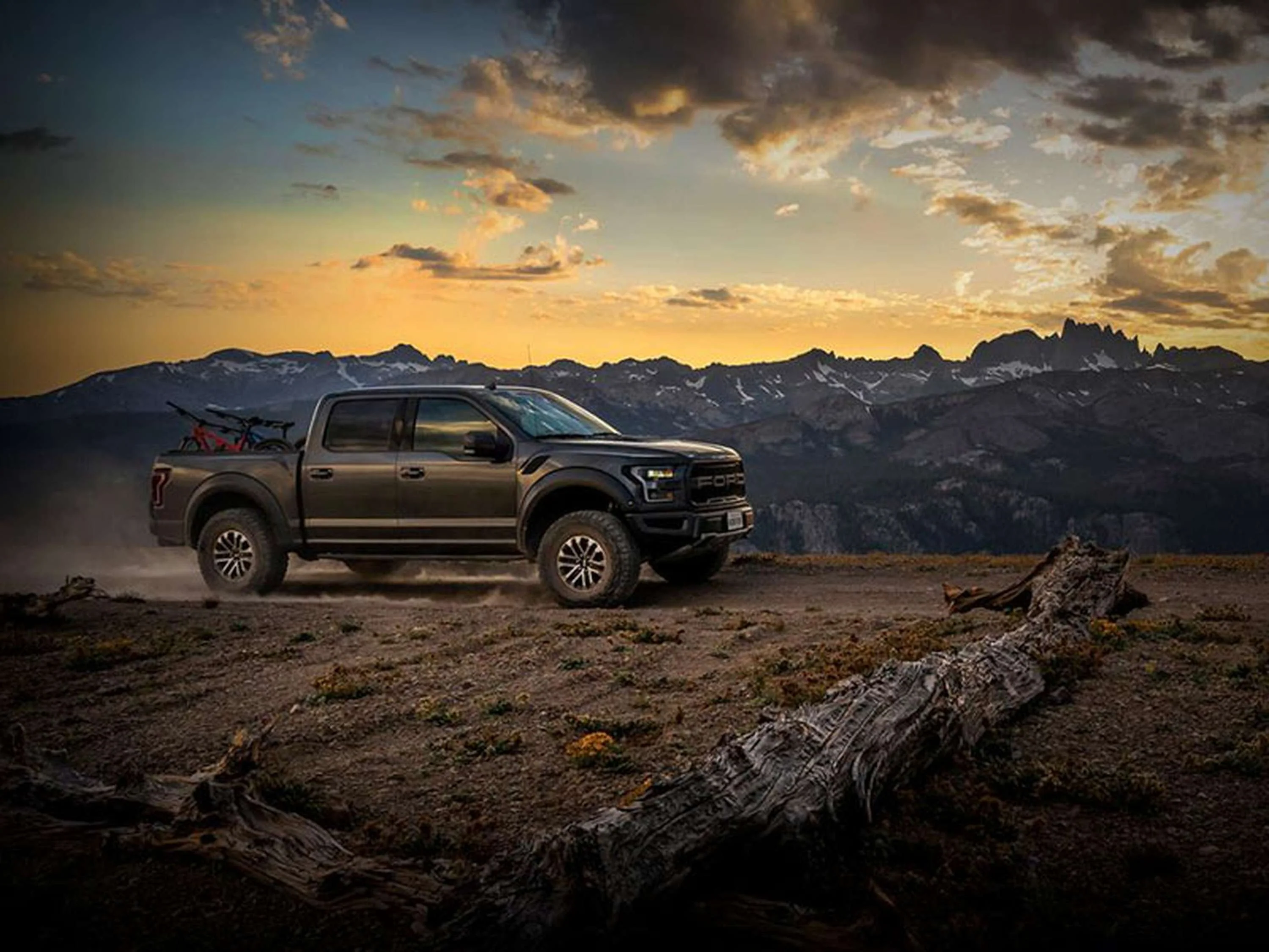 Camburg Ford Raptor 17-18 FOX Factory 3.0 DSC Performance Kit - Image 3