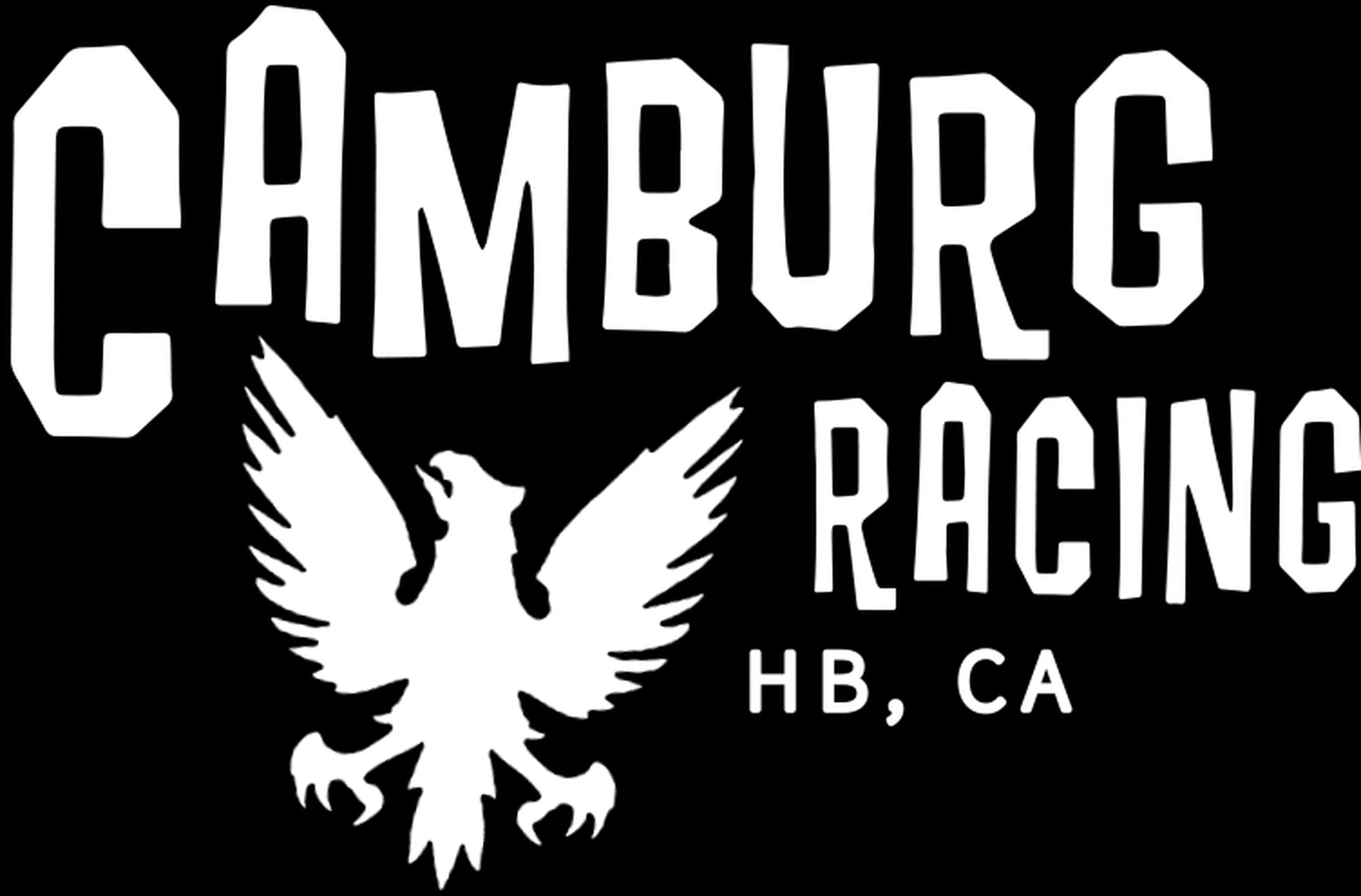 Camburg Race Fink Size 2X-Large T-shirt - Black - Image 8