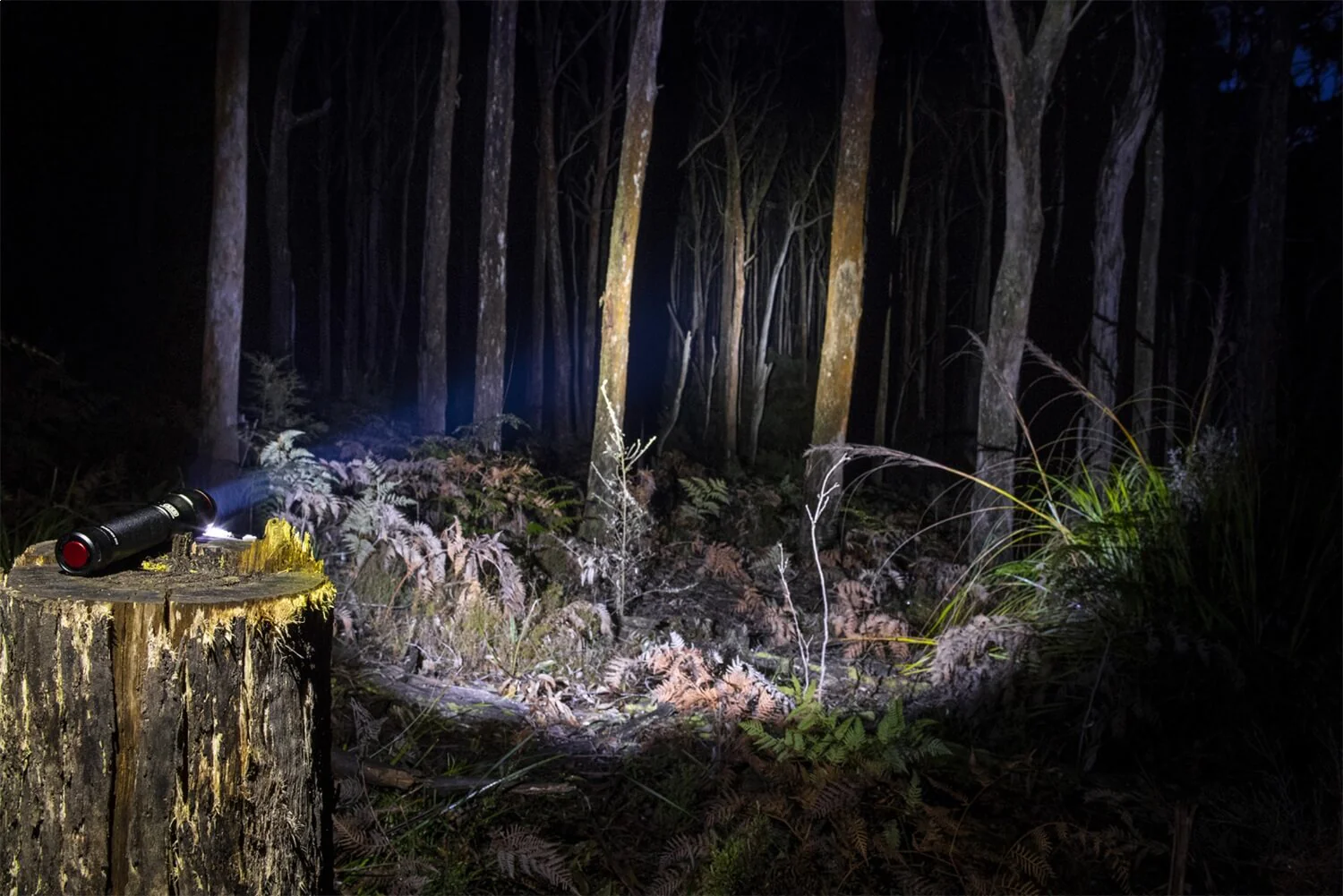 ARB Pureview 800 Flashlight - Image 2